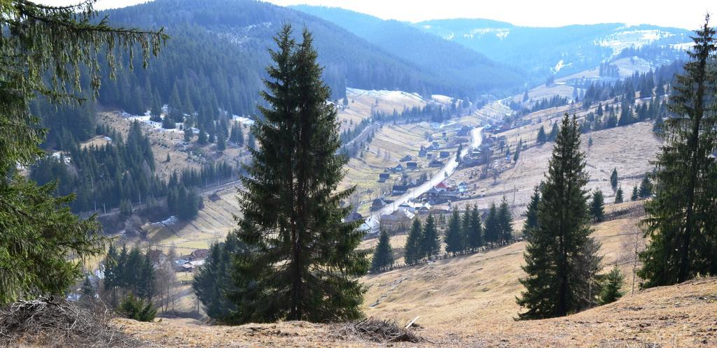 Casa Lia Hotel Valea Putnei Bagian luar foto