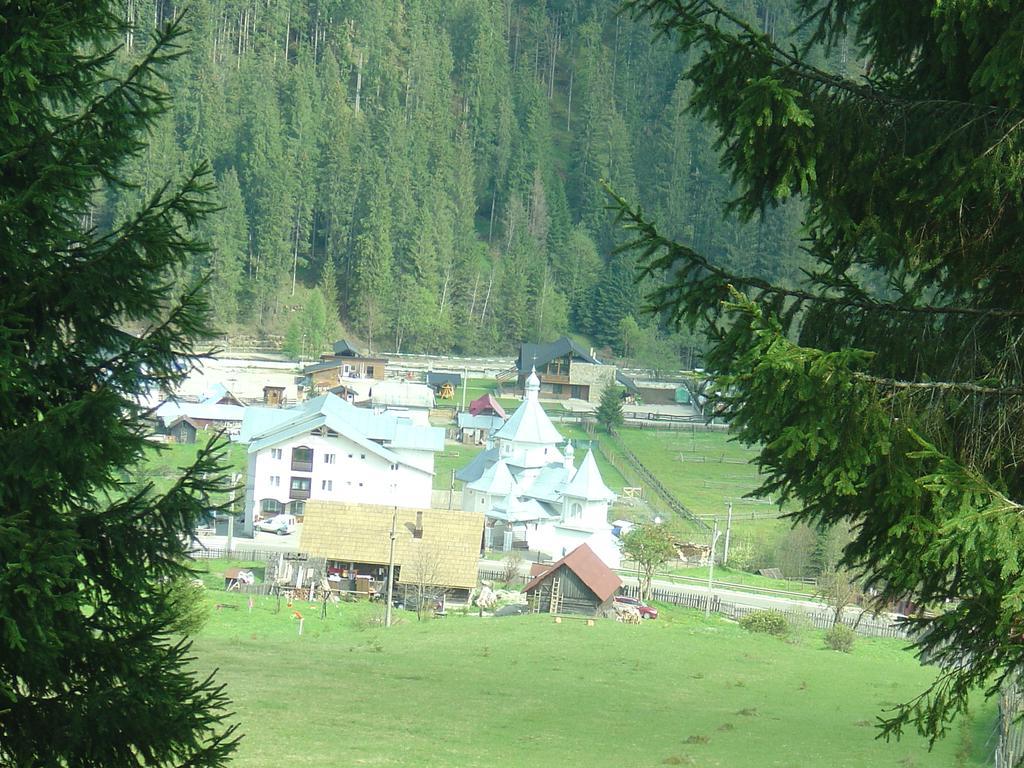 Casa Lia Hotel Valea Putnei Bagian luar foto