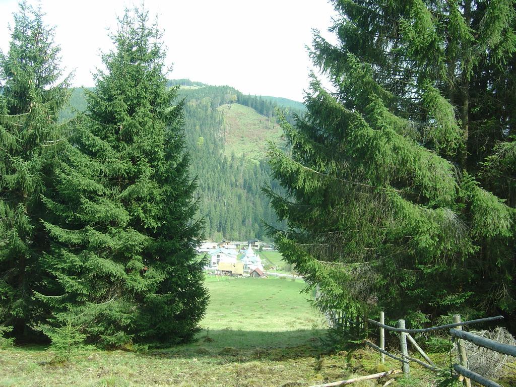 Casa Lia Hotel Valea Putnei Bagian luar foto
