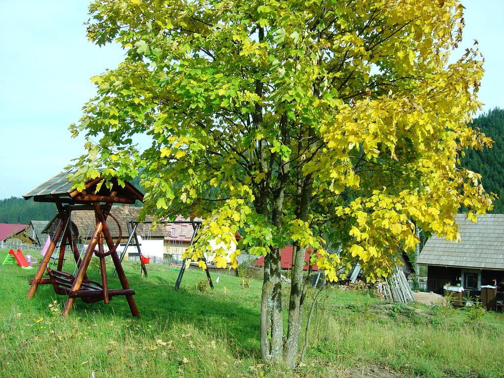 Casa Lia Hotel Valea Putnei Bagian luar foto