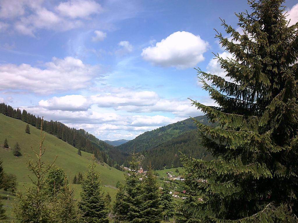 Casa Lia Hotel Valea Putnei Bagian luar foto