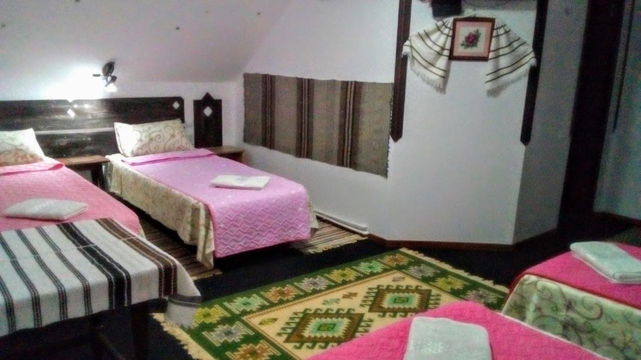 Casa Lia Hotel Valea Putnei Bagian luar foto