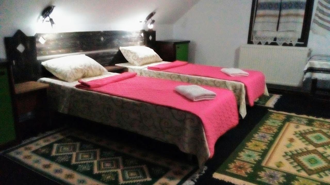 Casa Lia Hotel Valea Putnei Bagian luar foto