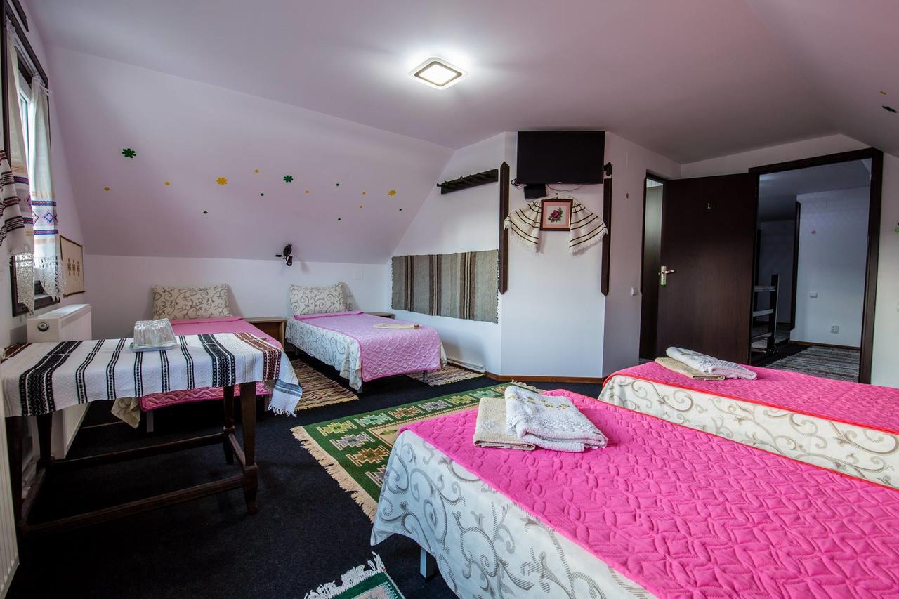 Casa Lia Hotel Valea Putnei Bagian luar foto