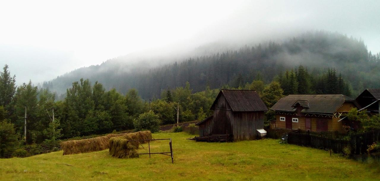 Casa Lia Hotel Valea Putnei Bagian luar foto