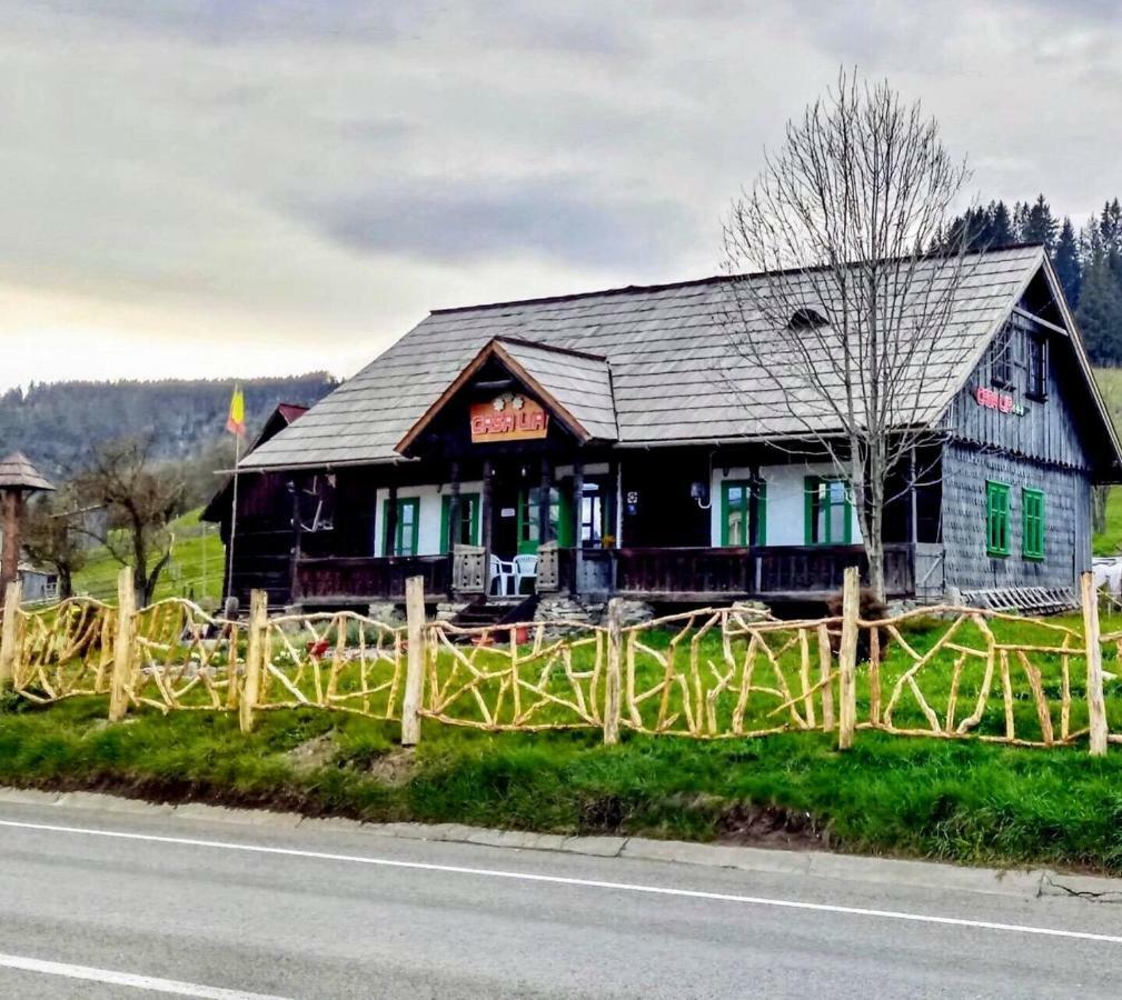 Casa Lia Hotel Valea Putnei Bagian luar foto